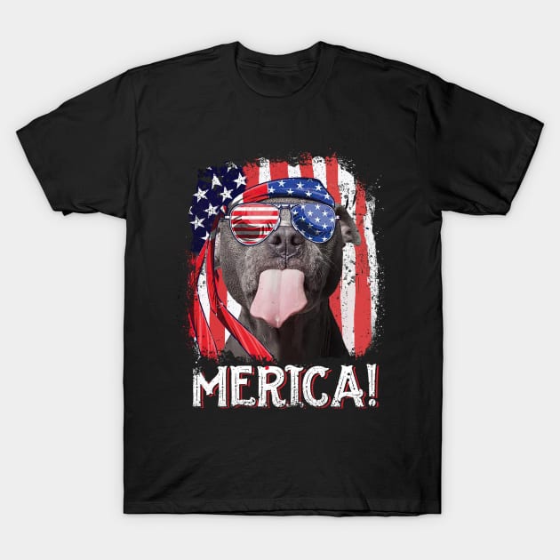 Dog America T-Shirt by Sunset beach lover